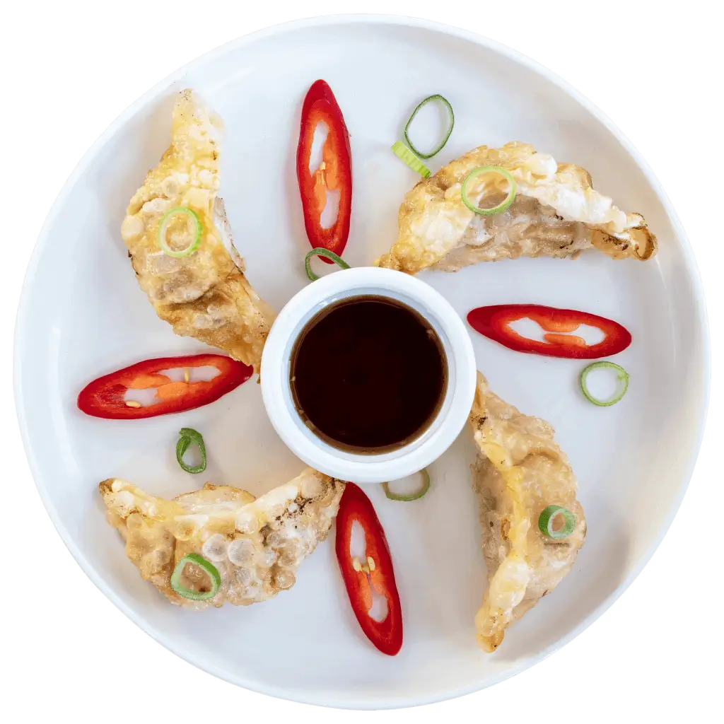 Fried Gyoza